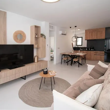 Penthouse Avec Grand Solarium Apartment